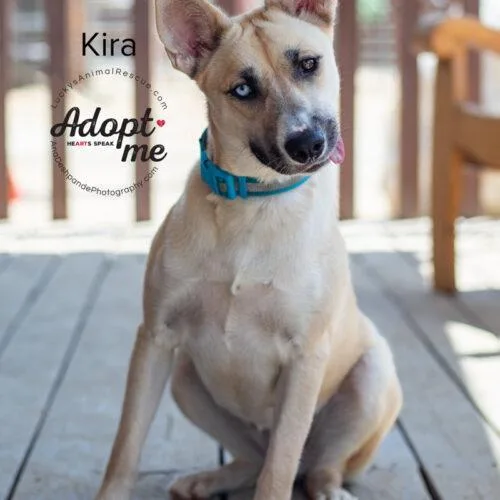 Kira thumbnail 5