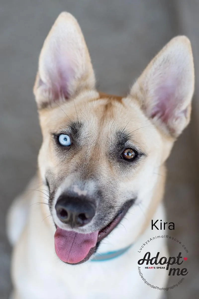 Kira thumbnail 7
