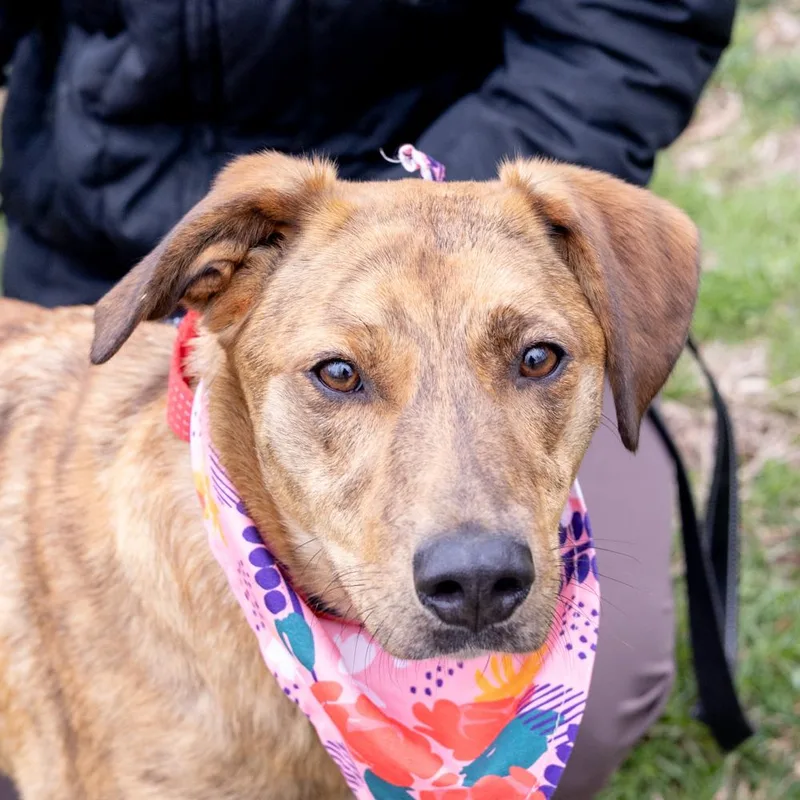 Lunaavail thumbnail 2