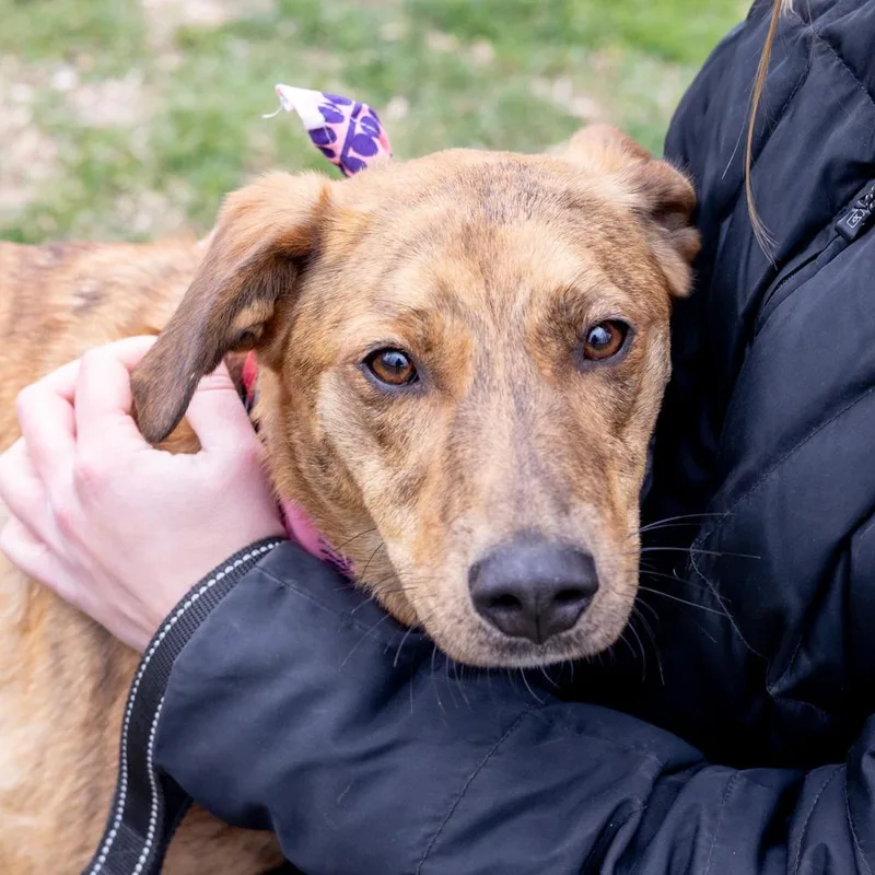 Lunaavail thumbnail 3