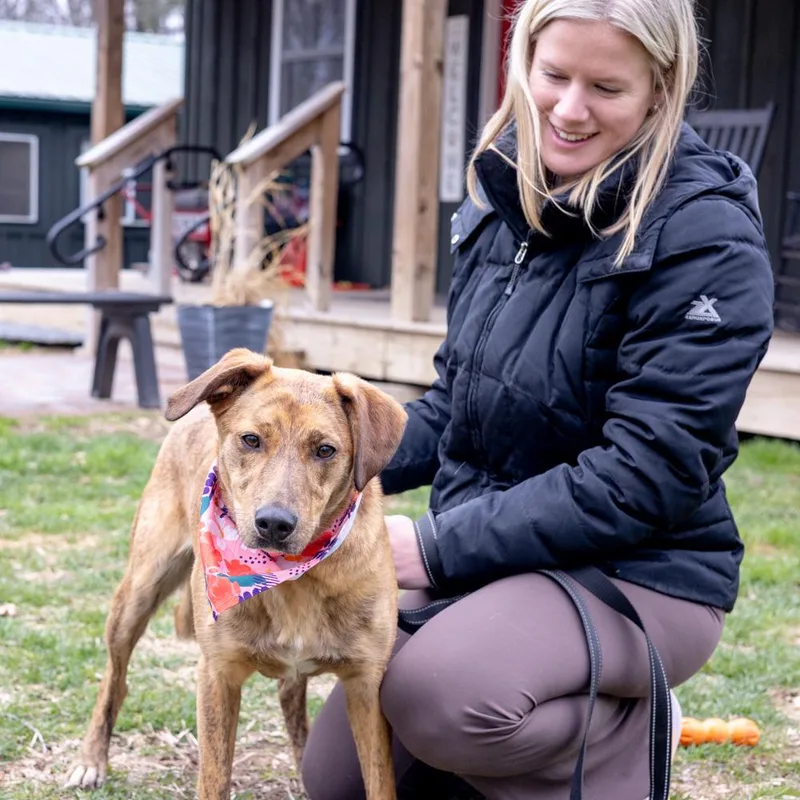 Lunaavail thumbnail 4