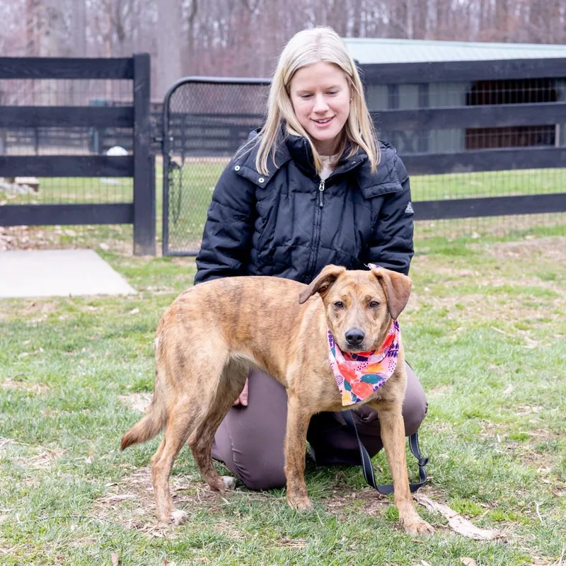 Lunaavail thumbnail 5