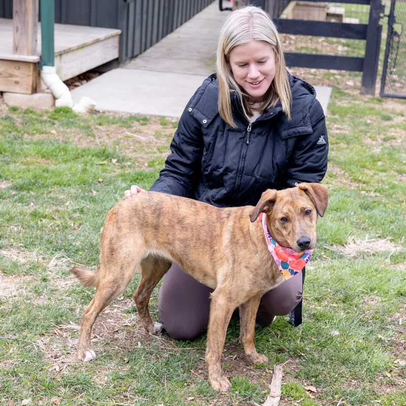 Lunaavail thumbnail 6