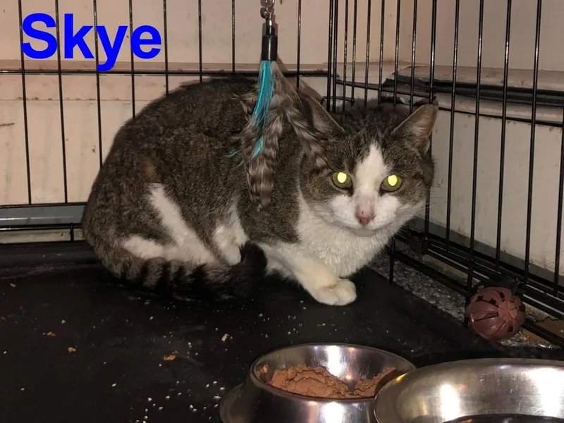 Skye Teresa thumbnail 2