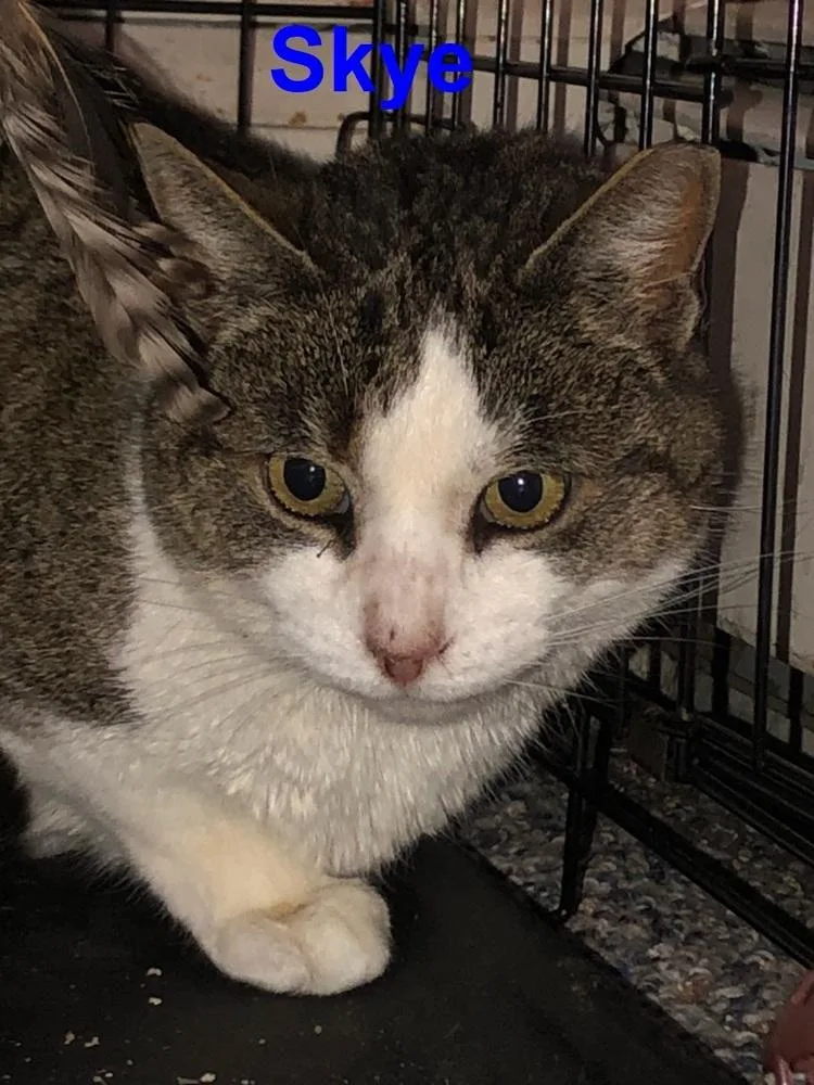 Skye Teresa thumbnail 3