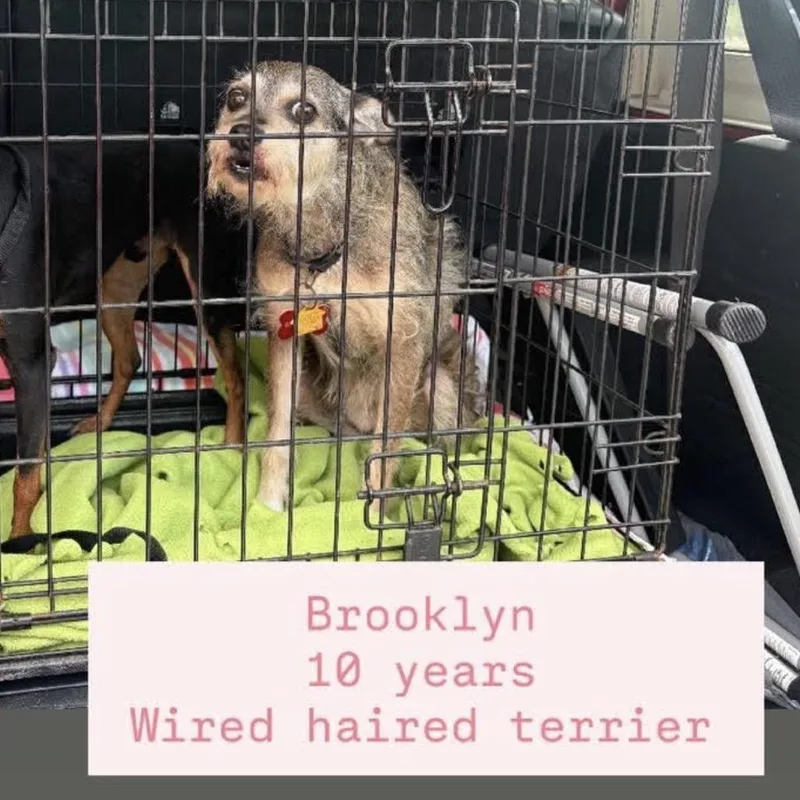 Brooklyn