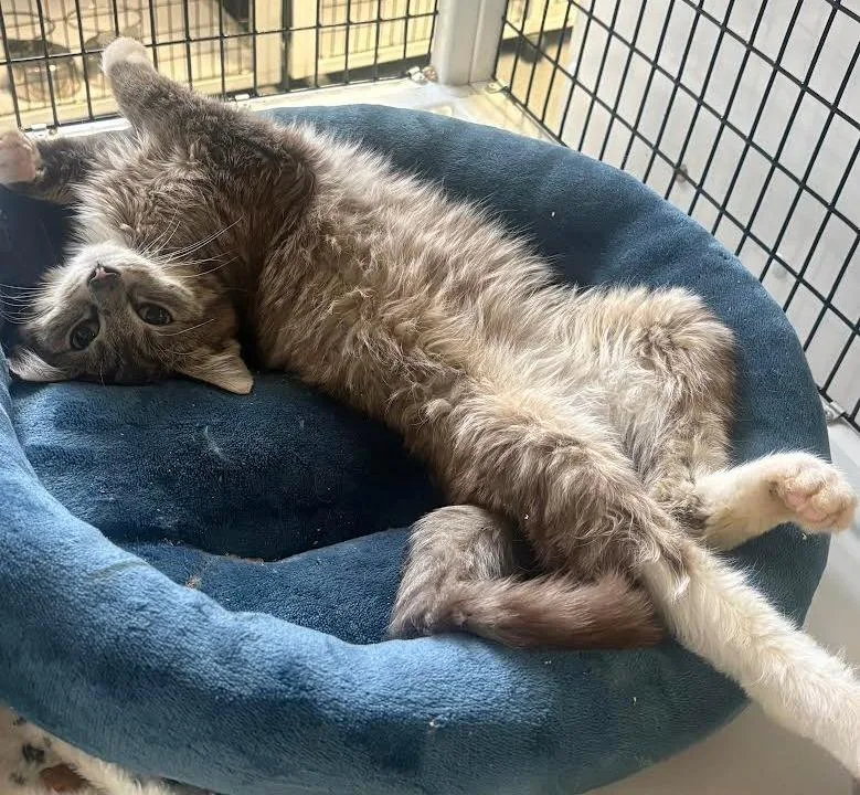 Guinness thumbnail 2