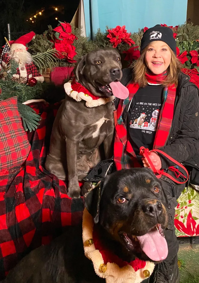 Bonded Pair Harry & thumbnail 3