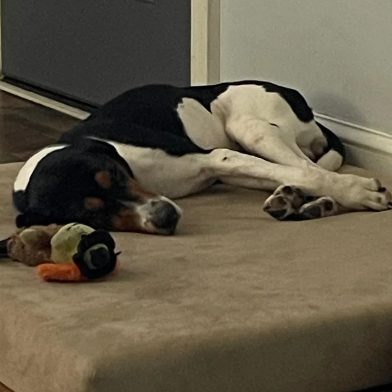 Nora Jean thumbnail 2