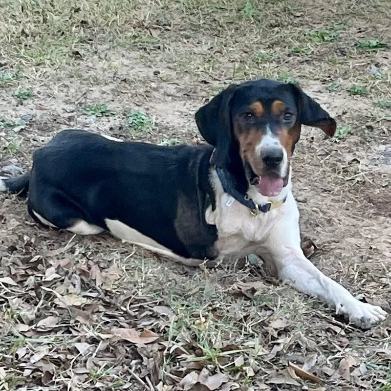 Nora Jean thumbnail 3