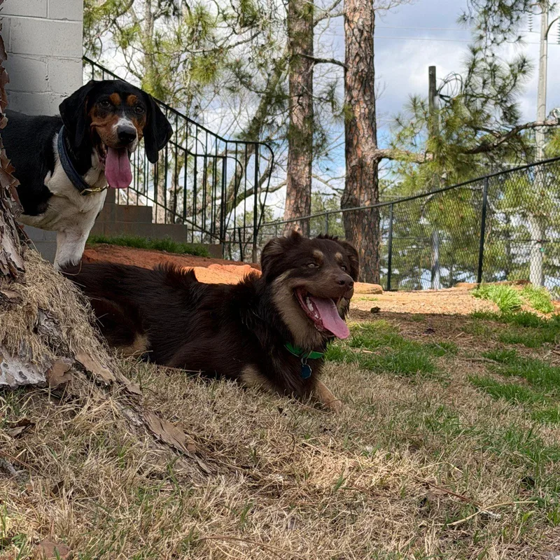 Nora Jean thumbnail 4