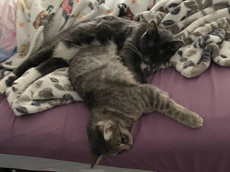 Moxie And Polly thumbnail 4