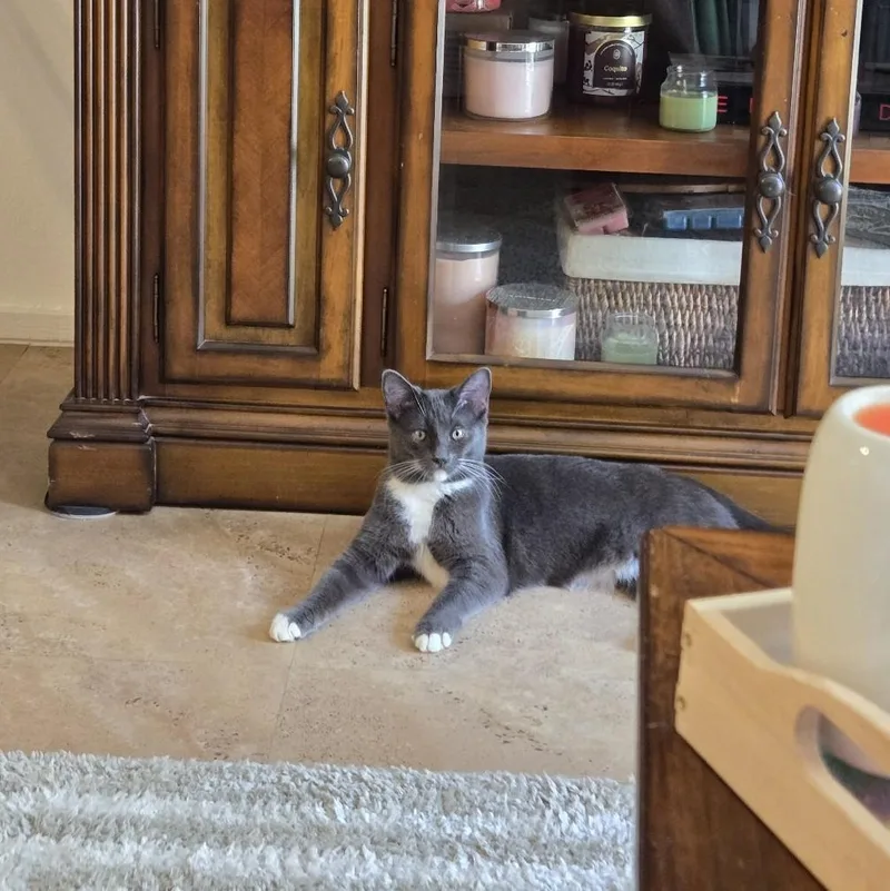 Moxie And Polly thumbnail 5