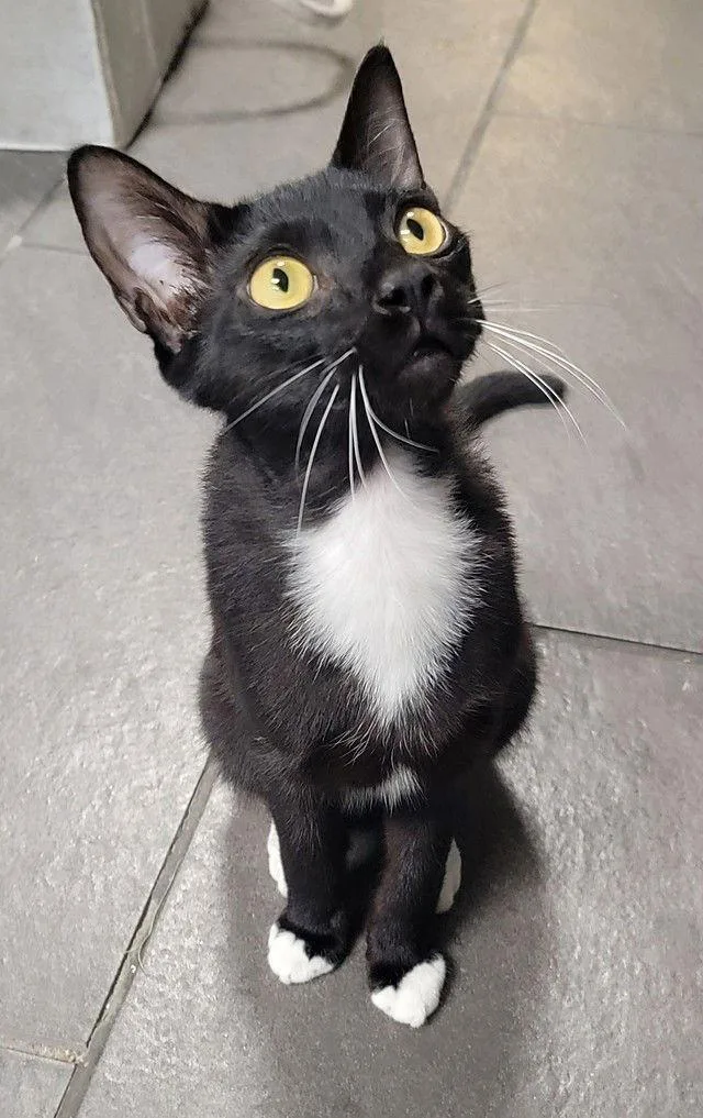 Night Light thumbnail 2