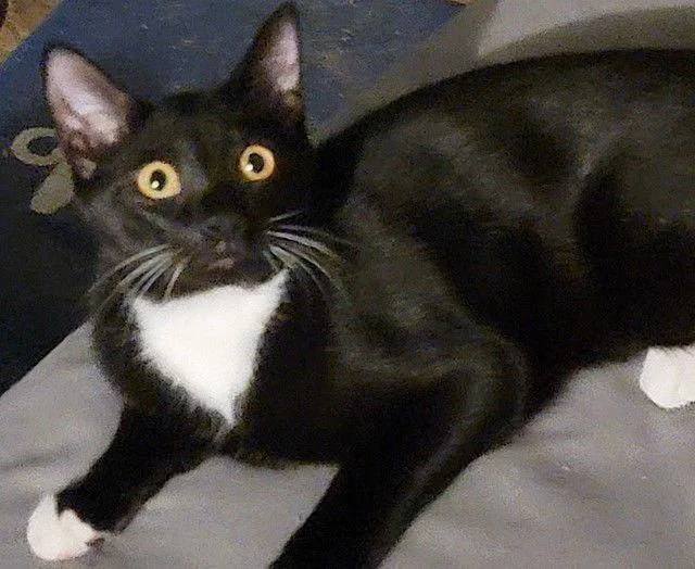 Night Light thumbnail 3