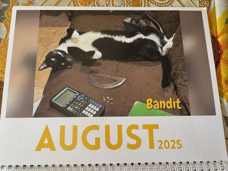 Bandit thumbnail 2