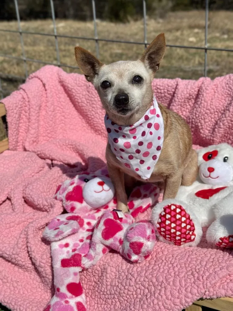 Bambi "grandma thumbnail 2
