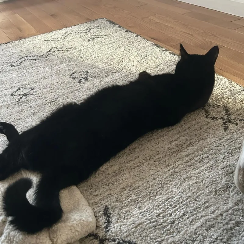 Ben