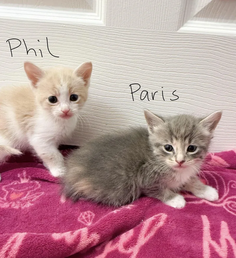 Paris thumbnail 2