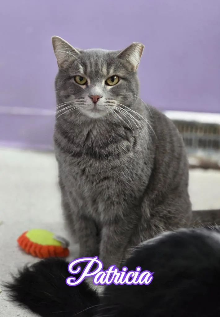 Patricia thumbnail 4