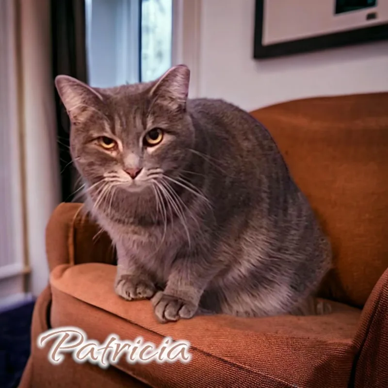 Patricia thumbnail 6