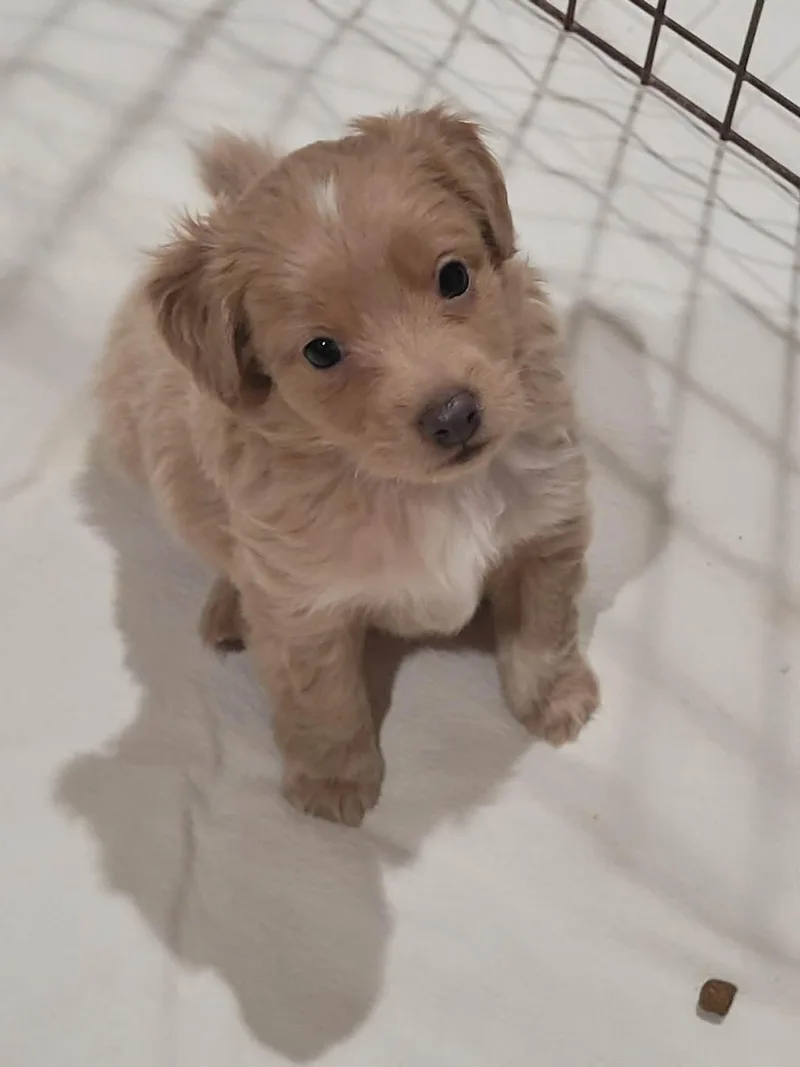 Teddy thumbnail 4