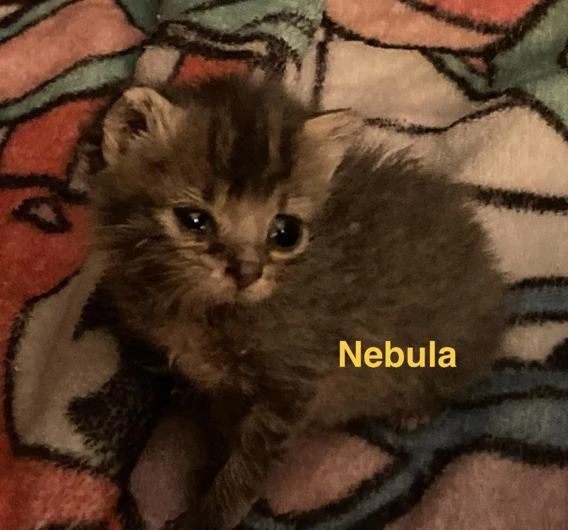 Nebula thumbnail 3