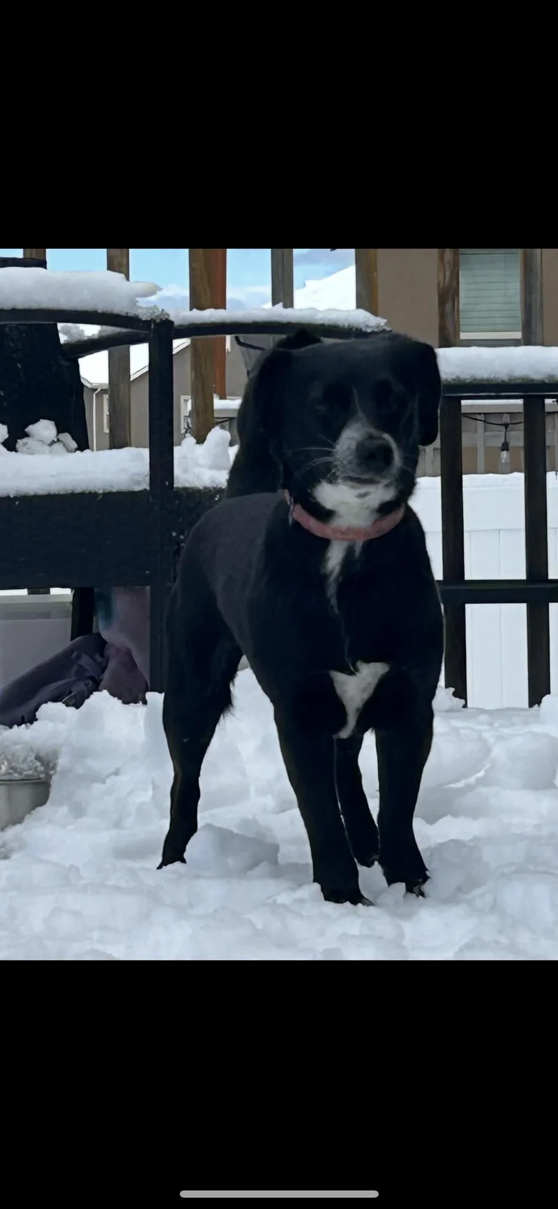 Esmeralda thumbnail 2