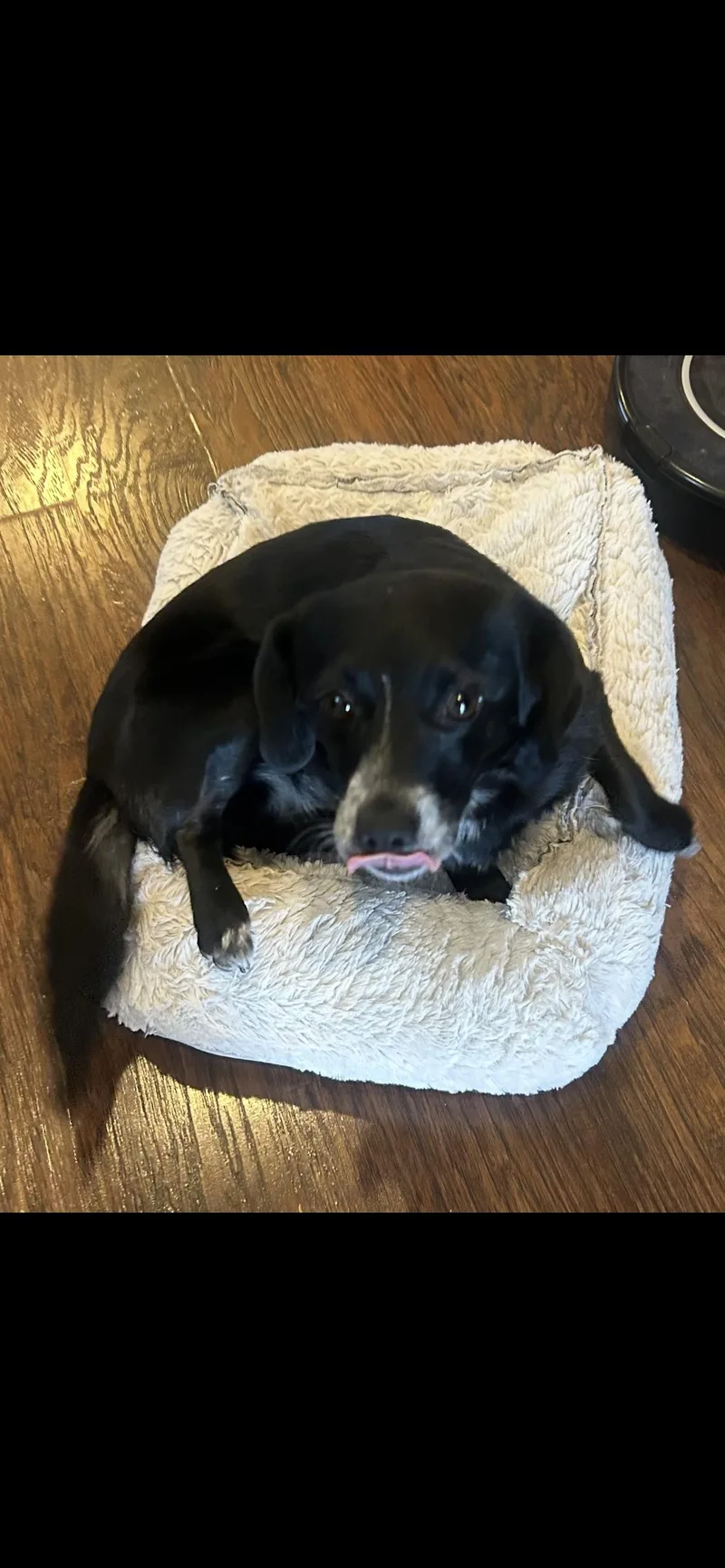 Esmeralda thumbnail 3