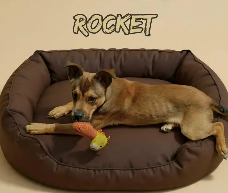 Rocket thumbnail 2