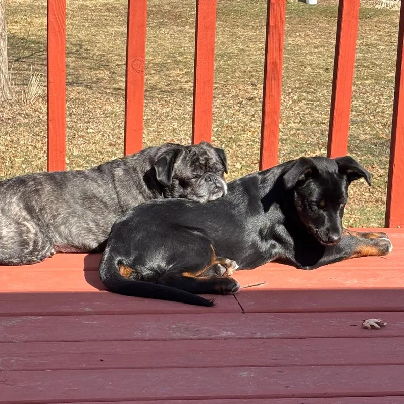 Rico Suave thumbnail 2