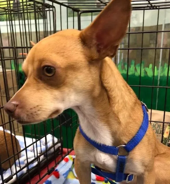 Darshan Slthw thumbnail 2