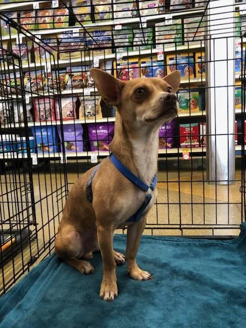 Darshan Slthw thumbnail 5