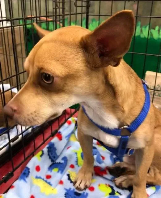 Darshan Slthw thumbnail 6