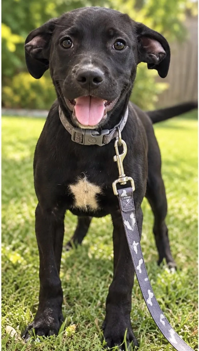 Max