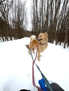 Marley thumbnail 2