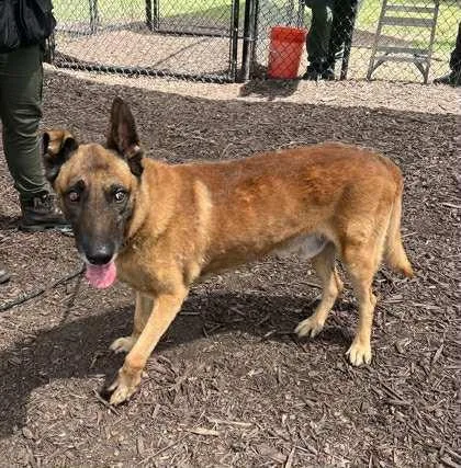 Tiago  Located In thumbnail 3