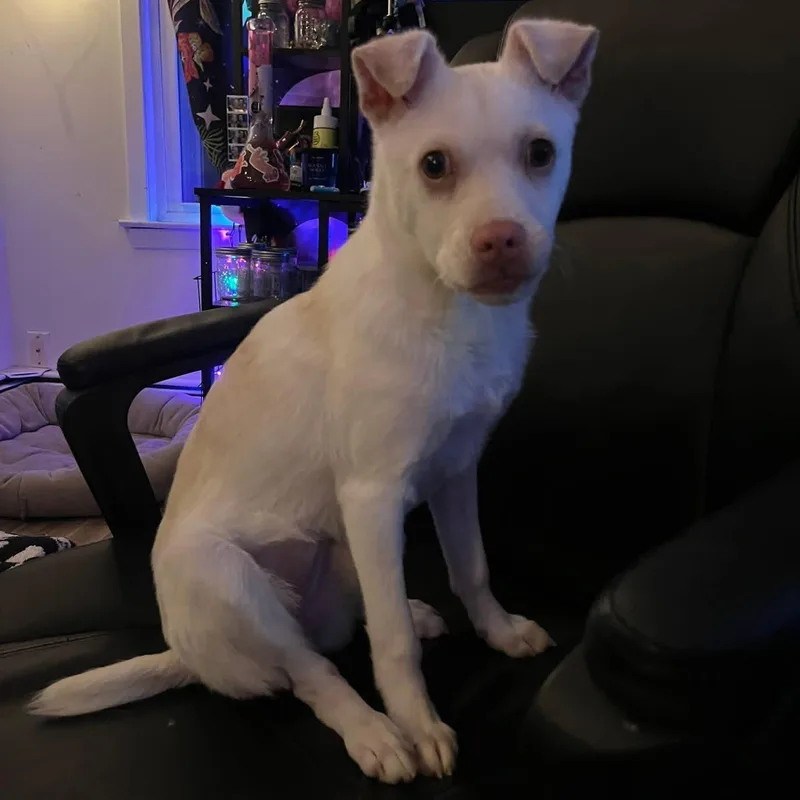 Charcuterie Board thumbnail 2