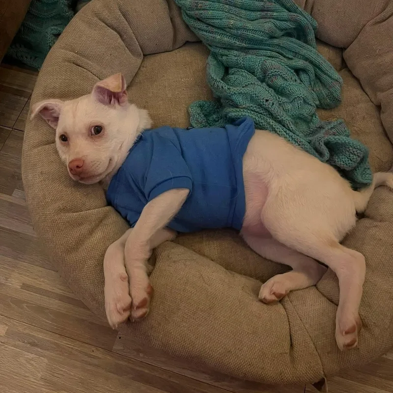 Charcuterie Board thumbnail 3