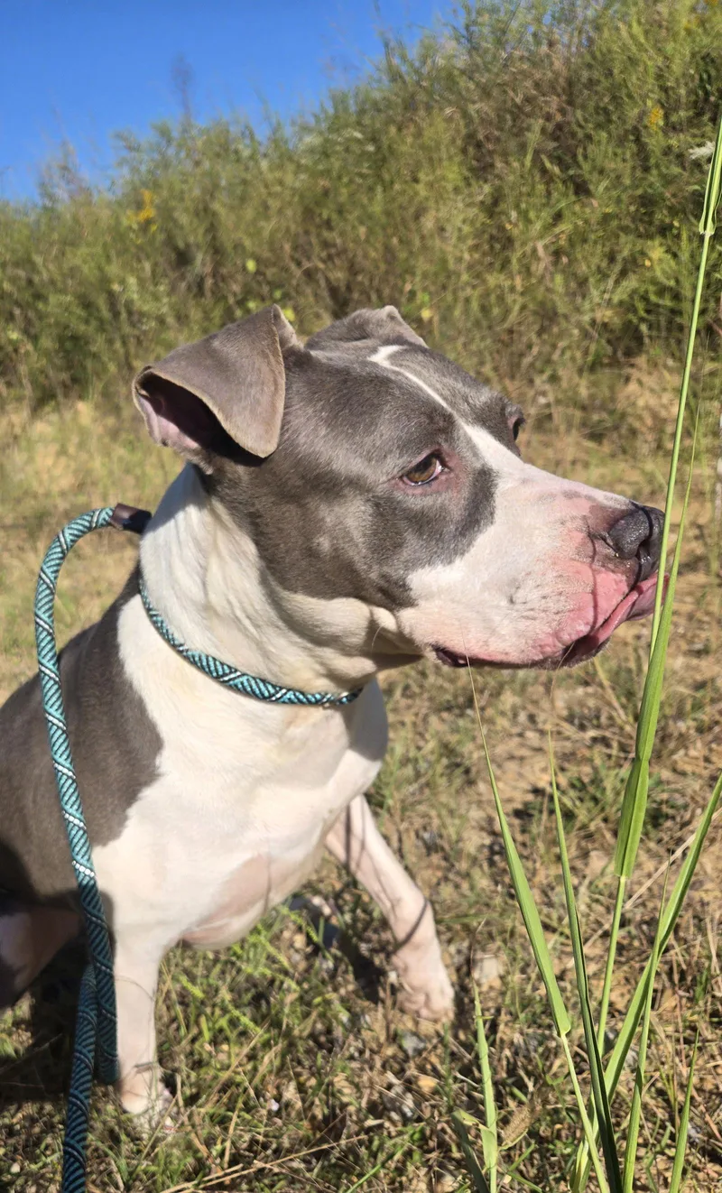 Treasure thumbnail 2