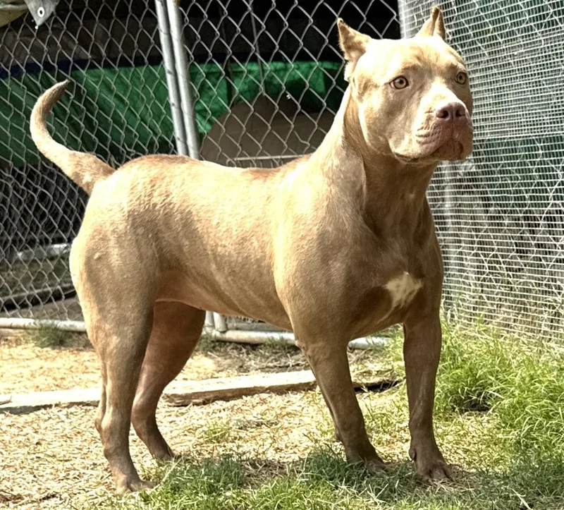 Bonnie  Sister To thumbnail 2