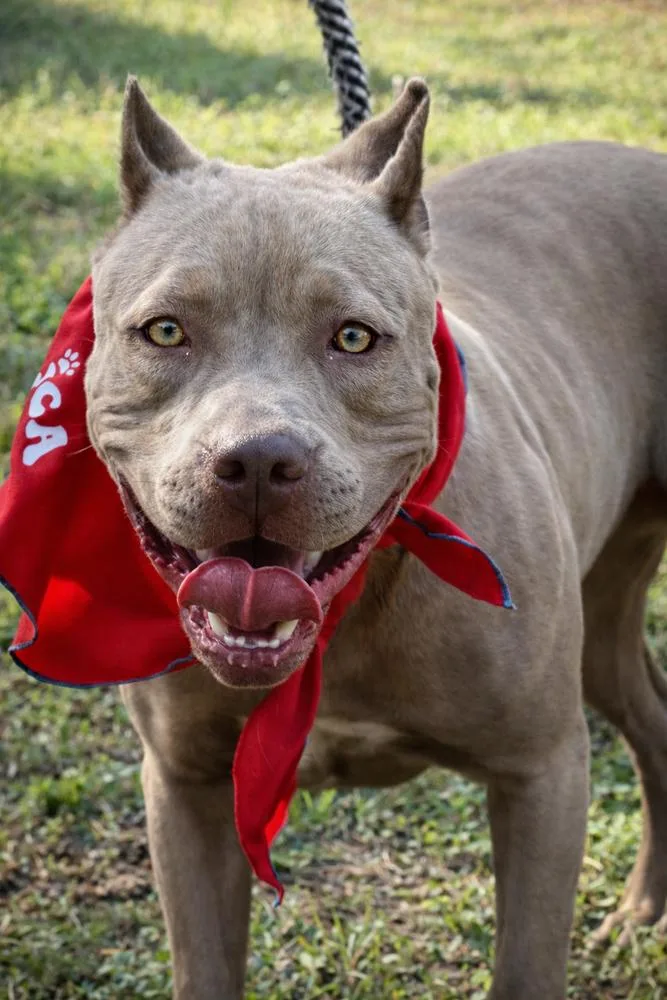 Bonnie  Sister To thumbnail 3