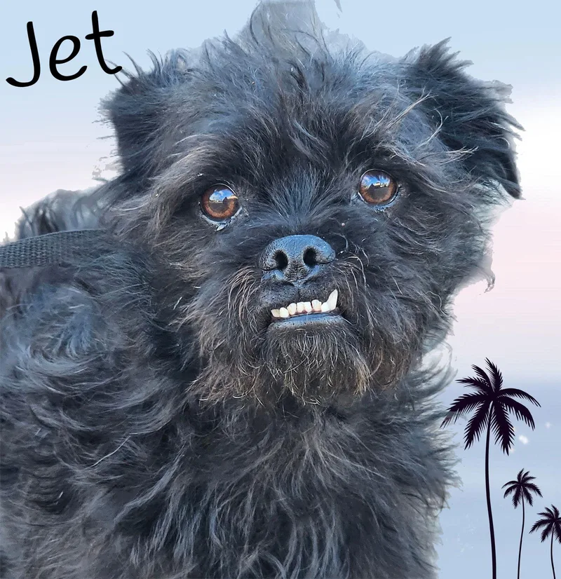 Jet