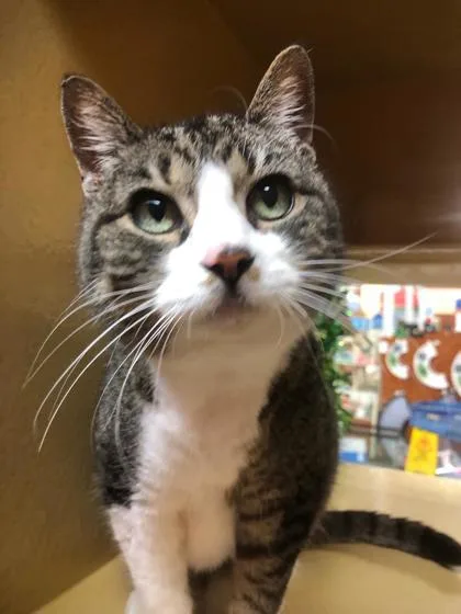 Twiggy Preston thumbnail 2