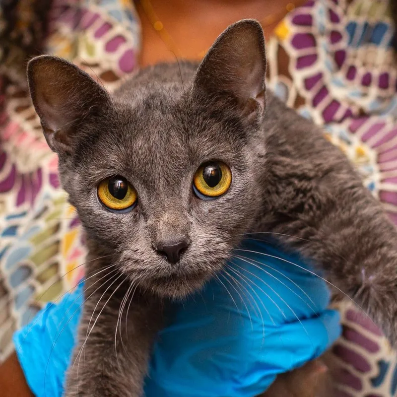 Madeline thumbnail 2