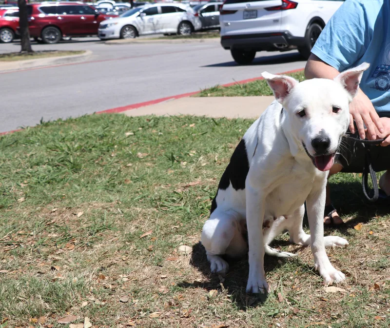 Molly Mama thumbnail 2