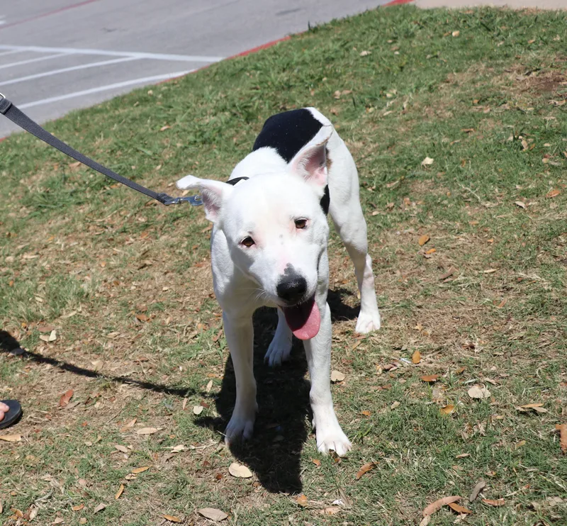 Molly Mama thumbnail 4