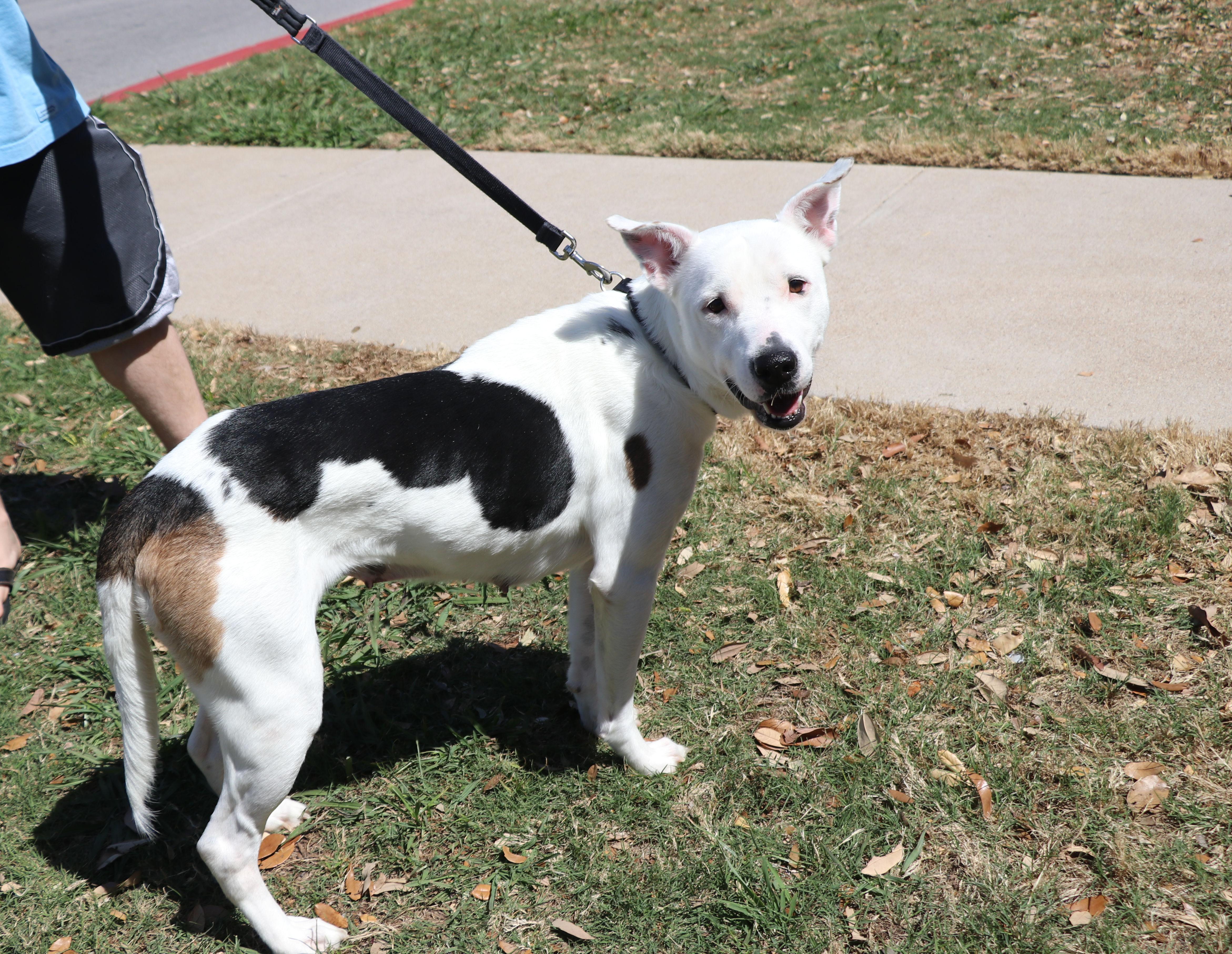 Molly Mama thumbnail 5