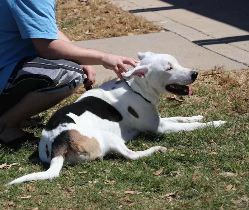 Molly Mama thumbnail 6