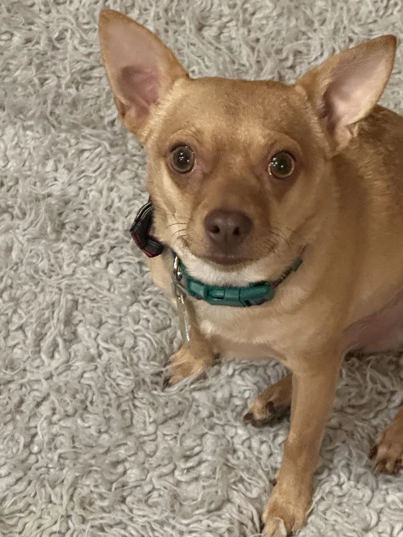 Ima Yoshi thumbnail 2